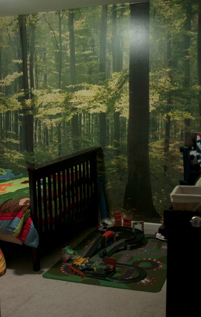 Floor-to-ceiling, wall-to-wall mural of woods